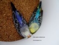 /album/resim-galerisi/sam-7843-jpg/