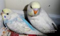 /album/resim-galerisi/sam-7787-jpg/