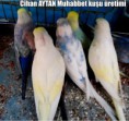 /album/resim-galerisi/roflbot-jpg/